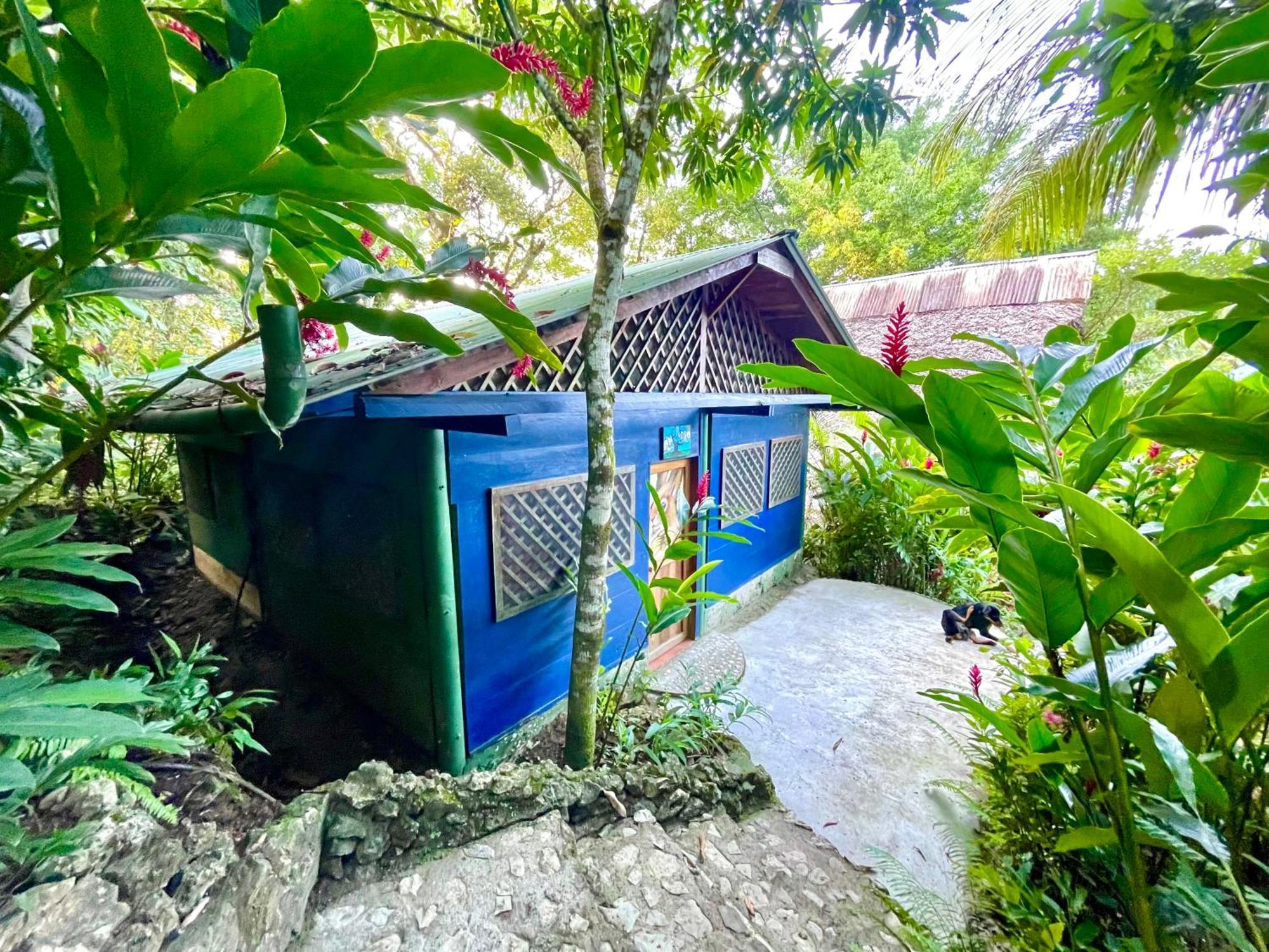 Palmeras Del Rio Hotel La Vina Exteriör bild