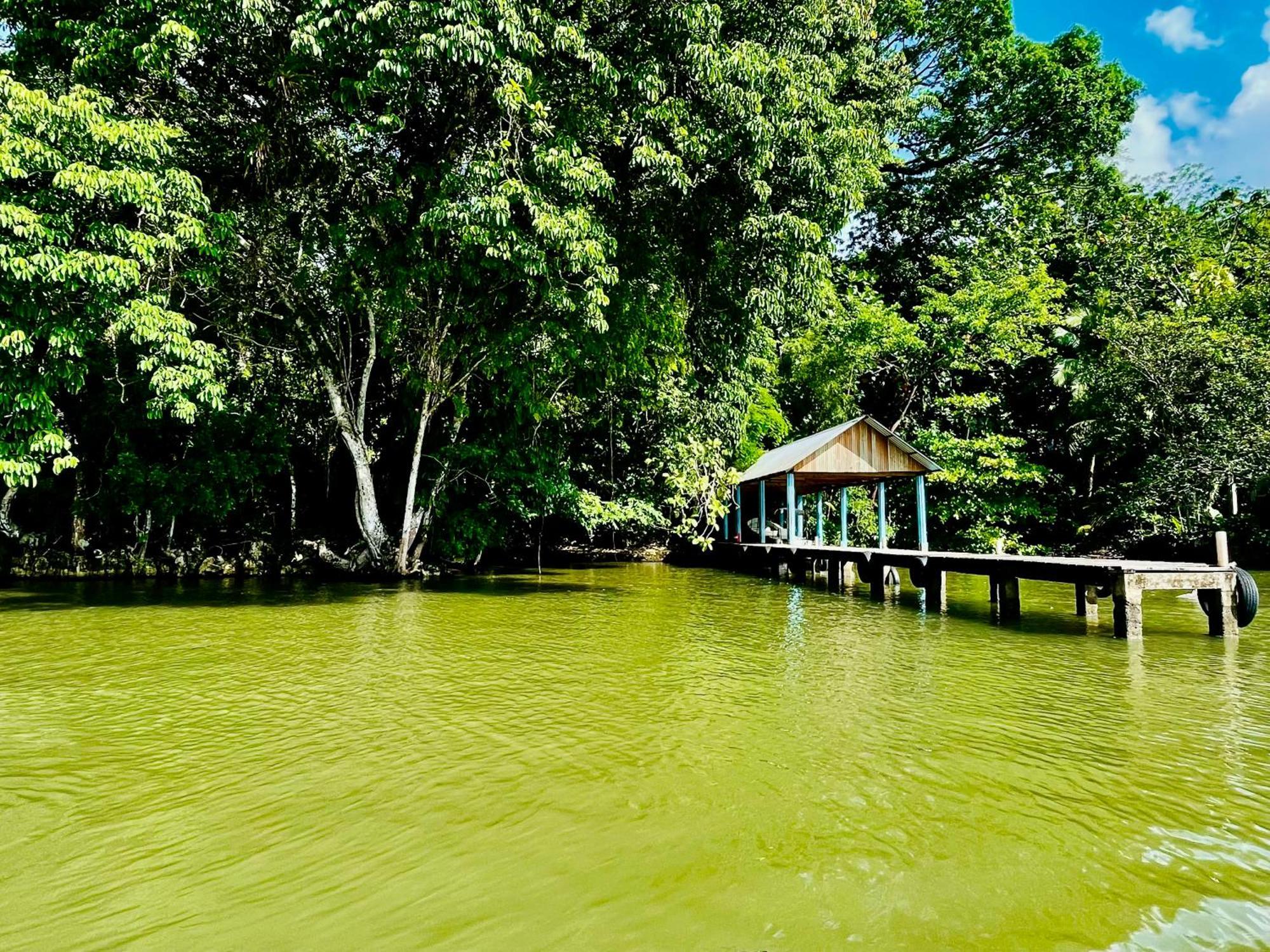 Palmeras Del Rio Hotel La Vina Exteriör bild