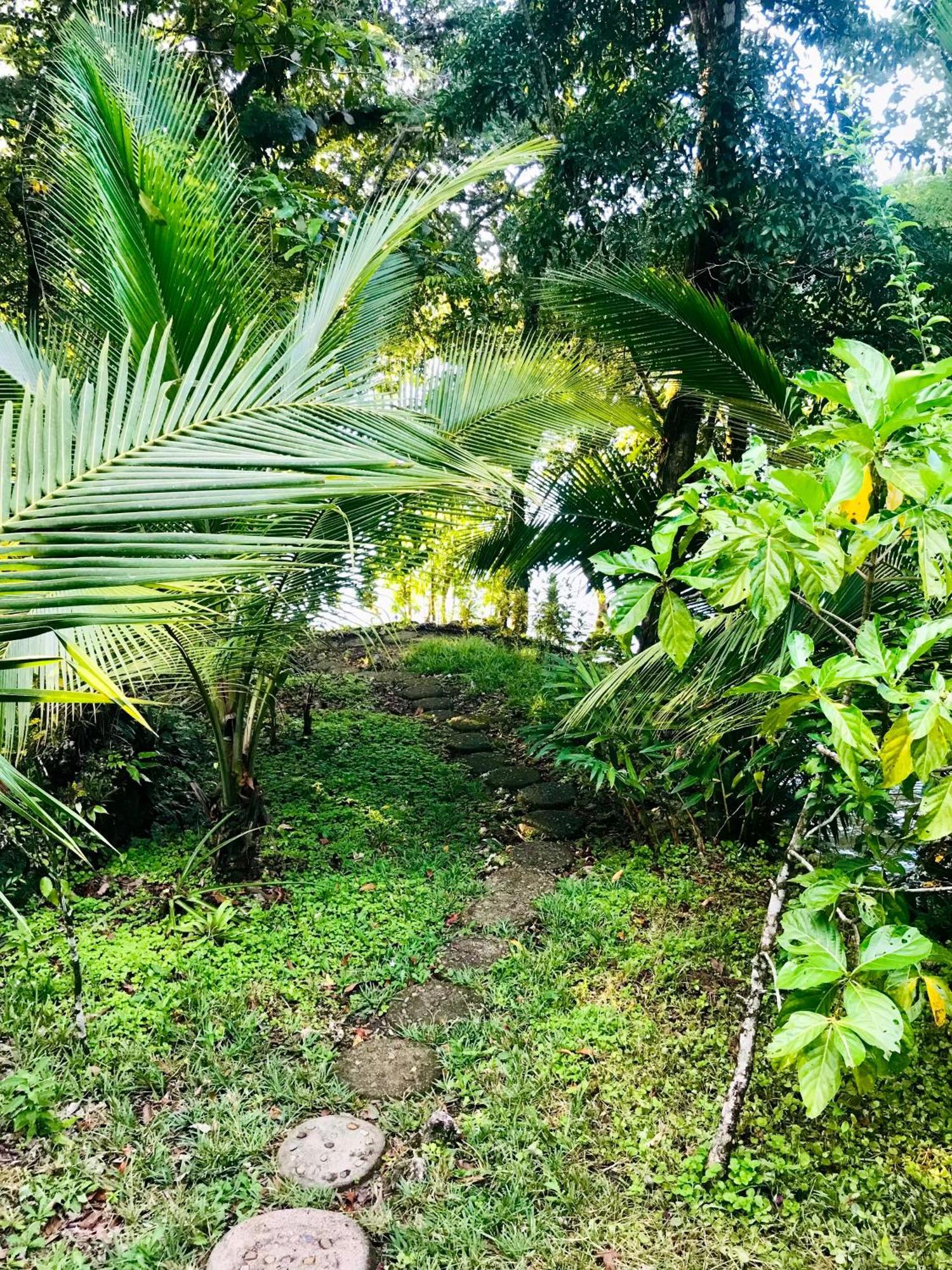 Palmeras Del Rio Hotel La Vina Exteriör bild