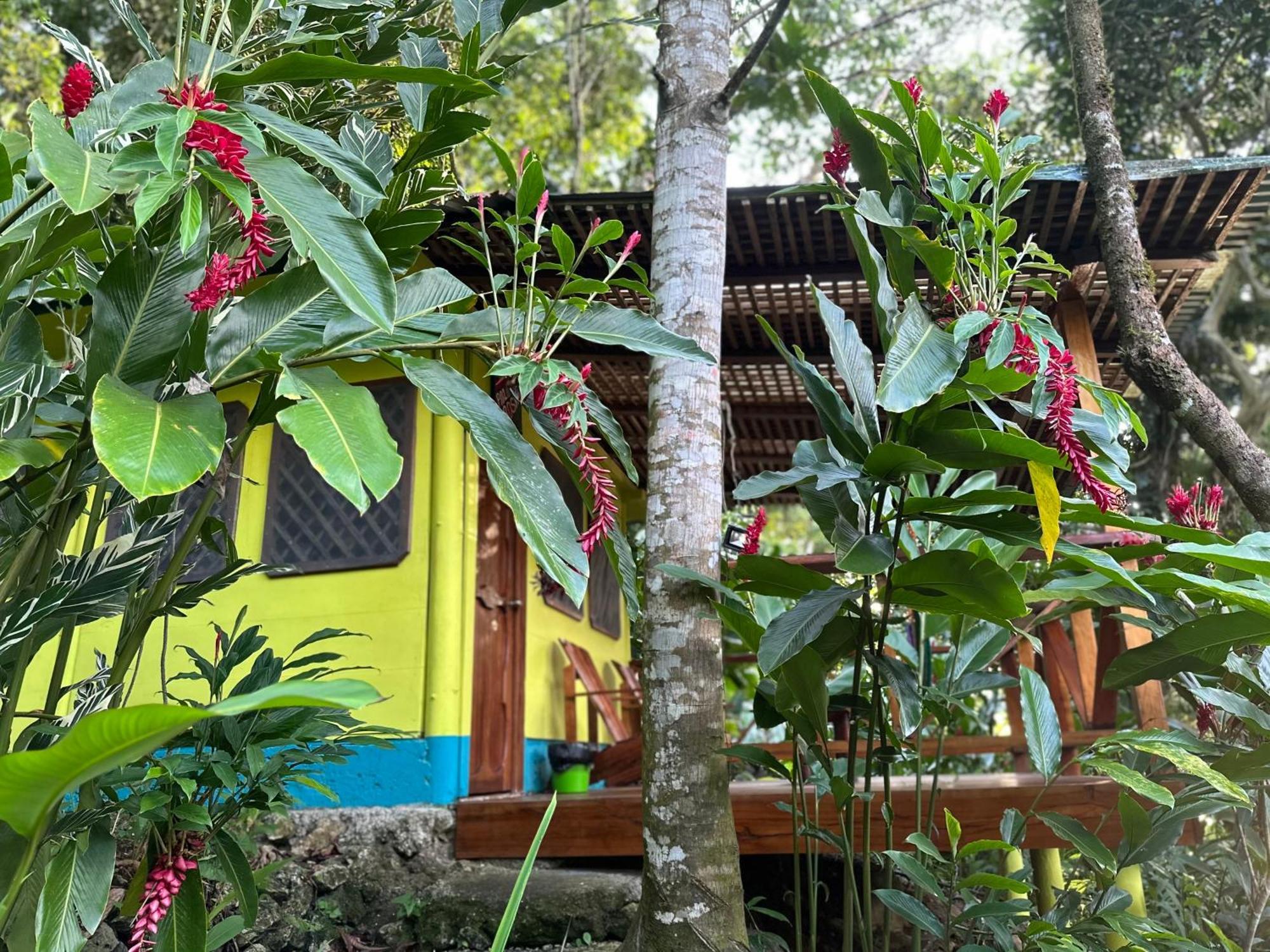 Palmeras Del Rio Hotel La Vina Exteriör bild